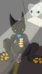 anthro anus balls black_body black_fur blue_eyes canid canine casualties:_unknown censor_bar censored censored_genitalia condom condom_in_mouth condom_wrapper expie_(gunsawian) flashlight fur genitals gunsawian hi_res knot male mammal mouth_hold object_in_mouth orange_eyes pawpads paws penis picture_in_picture sexual_barrier_device solo white_body white_fur