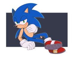 2024 anthro blush clothing digital_drawing_(artwork) digital_media_(artwork) erection eulipotyphlan footwear gay genitals gloves half-closed_eyes handwear hedgehog hi_res homosexual homosexual_male humanoid_genitalia humanoid_penis looking_at_viewer male male_focus male_only male_penetrating mammal narrowed_eyes penis sega shoes silentmist sitting smile solo sonic_the_hedgehog sonic_the_hedgehog_(series) vein veiny_penis