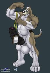 2011 4_toes 5_fingers anthro balls beagle biceps big_balls big_penis black_nose black_penis brown_body brown_fur canid canine canis clipboard domestic_dog erection eyewear feet fingers flexing fur genitals glasses hi_res huge_balls huge_penis humanoid_genitalia humanoid_penis hunting_dog hybrid_genitalia hybrid_penis hyper hyper_balls hyper_genitalia hyper_penis knot knotted_humanoid_penis knotted_penis male mammal measuring measuring_muscle muscular muscular_anthro muscular_male nipples nude penis pince-nez professor_hubert road_rovers scent_hound signature simple_background solo story_at_source tail tape_measure teeth thick_penis toes vein veiny_penis white_balls white_body white_fur wolfblade wuffamute