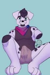 2:3 2_missing_limbs 4_toes absurd_res amputee anthro bent_legs biped bisexual_pride_colors black_hair blue_eyes briefs bulge canid canine canis clothing dalmatian detailed_bulge disability domestic_dog domino_(spottydog) embarrassed erection erection_under_clothing eye_markings feet floppy_ears hair hi_res kerchief lgbt_pride lgbt_pride_month male male_anthro mammal markings minishadefox neckerchief neckwear pride_color_accessory pride_color_flag pride_colors sitting sitting_on_ground sleeveless_shirt slightly_muscular smile solo spots spotted_body tenting toes underwear watermark white_body