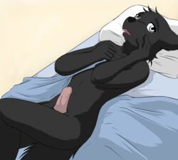 1boy anthro bed black_fur blanket canine color fur furry looking_at_viewer male male_only mammal nude open_mouth penis pillow raven_wolf sheath sheets solo teeth webcomic white_eyes wolf yula