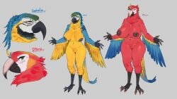 4_fingers 4_toes absurd_res anisodactyl anthro ara_(genus) areola avian avian_feet barbell_piercing beak big_breasts bird black_areola black_beak black_nipples blue-and-yellow_macaw blue_body blue_feathers blue_hair braided_hair breast_size_difference breasts curved_beak darkened_areola darkened_nipples diana_(sungerart) duo feathers feet female fingers genitals green_eyes hair hi_res huge_breasts isabella_(sungerart) macaw multiple_piercings navel navel_barbell navel_piercing neotropical_parrot nipple_barbell nipple_piercing nipples non-mammal_breasts nude nude_anthro nude_female parrot piercing red_body red_feathers scarlet_macaw standing sungerart talons tattoo thick_thighs toes true_parrot vulva winged_arms wings yellow_body yellow_eyes yellow_feathers