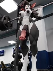 1futa 3:4 3d_(artwork) 3d_animation animal_genitalia animal_penis animated balls barbell big_penis blender_(artwork) blender_cycles bovid breasts caprine curly_hair digital_media_(artwork) equine_genitalia equine_penis exercise futanari genitals goat gym gynomorph hair hi_res huge_cock intersex mammal mereo mismatched_animal_genitalia mismatched_animal_penis mismatched_genitalia mismatched_penis muscular muscular_gynomorph muscular_intersex nipples no_sound nude penis short_playtime solo squats stella_(dayumboai) tagme video video weightlifting workout