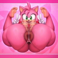 amy rose from sonic (series) by captainjerkpants