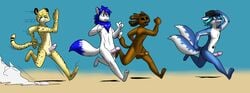 2014 anthro arcticsnow1 blue_hair bootz canine cheetah elementalwolf erection feline fur furry hair hat liox male mammal nude penis running wolf zach_(gamerfox)