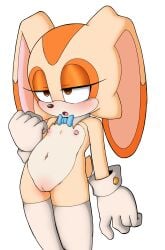 1girls 2025 :o @_@ alternate_version_available animal_ears anthro anthro_female anthro_only anthro_solo areola areolae black_nose blush bow bowtie brown_eyes brown_nose bunny bunny_girl clothing color color_edit colored cotton_tail cream_the_rabbit cub detached_collar digital_drawing_(artwork) digital_media_(artwork) edit eyelashes facial_tuft female female_cub female_only flat_chest flat_chested floppy_ears fur furry furry_female furry_only genitals girly girly_girl gloves half-closed_eyes handwear hypnosis jupiterorange lagomorph legitimate_variation legwear leporid long_ears mammal mind_control mobian_(species) mostly_nude mostly_nude_female multicolored_body multicolored_face multicolored_skin narrowed_eyes navel nipples open_mouth orange_skin portrait pussy rabbit rabbit_ears rabbit_girl rabbit_tail reverse_bunnysuit scut_tail sega short_tail small_breasts solo solo_anthro solo_female sonic_(series) sonic_team sonic_the_hedgehog_(series) tail tan_body tan_fur tan_skin thighhighs thighs third-party_edit three-quarter_portrait transparent_background two_tone_body unknown_artist video_games white_body white_clothing white_gloves white_handwear white_legwear white_skin white_thighhighs young young_anthro young_female