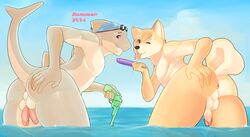 2boys anthro canine diphallia diphallism fish fur furry hemipenes male male_only mammal marine multi_penis penis pkaocko shark tagme