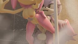 amy_rose anthro anthro_on_anthro anthro_penetrated anthro_penetrating anthro_penetrating_anthro balls bangerofsticks big_breasts big_butt blaze_the_cat bouncing_balls breasts futa_on_female futanari sega shower_sex sonic_(series) sound_warning stomach_bulge tagme video