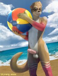 anthro ball beach beach_ball bitfang cloud day erection eyewear eyewear_only femboy foreskin genitals glasses glasses_only hi_res humanoid_genitalia humanoid_penis inflatable looking_at_viewer male mammal mustelid nude otter outside penis round_glasses sea sky slim_anthro slim_male solo tail thick_tail water wearing_glasses