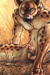 2012 african_wild_dog animal anthro anthropomorphic balls blotch canid canid_humanoid canine canine_penis desmont1590 grass hiena humanoid hyena looking_at_viewer male male_only male_solo mammal muzzle no_sex nude orange_eyes outside penis savanna sitting slim solo solo_focus solo_male spots spotted_fur tagme