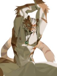 Booru post from rule34.xxx