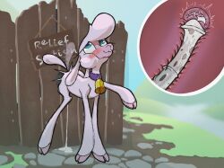 pom (tfh) from them's fightin' herds