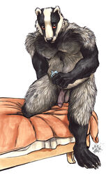 1boy anthro badger balls belly black_eyes blotch chubby desmont1590 furry looking_at_viewer lube male male_only mammal mustelid orange_sclera penis simple_background solo white_background