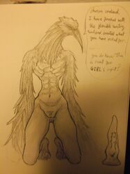 ambiguous_gender avian dark_souls dark_souls_2 dildo fromsoftware ornifex sketch