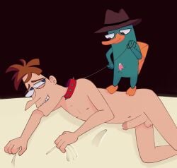 animal_genitalia animal_penis bestiality_humiliation bondage dr_heinz_doofenshmirtz human meme penis perry_the_platypus phineas_and_ferb sadomasochism shitpost zoophilia zoophilia