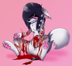 absurd_res black_hair black_nose blood blood_on_arm blood_on_hand blood_on_leg blood_pool bodily_fluids box_cutter canid canine canis crying ear_piercing facial_piercing female feral fur gore grey_body grey_fur hair hi_res lip_piercing mammal mayhemtown pawpads piercing pink_background pink_pawpads self-harm simple_background solo tears white_body white_fur wolf wolfie_(kibbles)