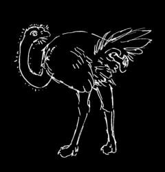 2026 ambiguous_gender avian beak bird claws cloacal cloacal_penetration disembodied_penis duo einin feathers feral genitals humanoid_genitalia humanoid_penis male male/ambiguous ostrich penetration penis ratite rictal_bristles tail tail_feathers wings