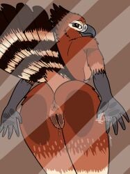 absurd_res accipitrid accipitriform against_surface anthro anus anus_on_glass aquilinae aroused avian bird bodily_fluids butt eagle female fish_birb genital_fluids genitals glass hi_res javan_hawk-eagle leaning_on_object nude on_glass presenting presenting_hindquarters solo vaginal_fluids vulva vulva_on_glass window