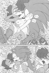 balls breasts female hedgehog karate_akabon male mammal penis pussy rodent sally_acorn sonic_(series) sonic_the_hedgehog squirrel straight