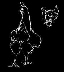 2026 animal_genitalia avian beak bestiality bird chicken claws cloaca cloacal cloacal_penetration duo einin female feral galliform genitals human human_on_feral humanoid_genitalia humanoid_penis interspecies male male/female mammal penetration penis phasianid wings x-ray_view
