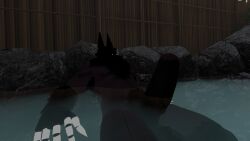 anthro big_penis black_fur claws dark_fur furry hot_spring vrchat vrchat_avatar vrchat_furry vrchat_media vrchat_model water werewolf wolf wolf_ears