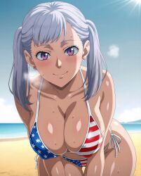 noelle silva from black clover