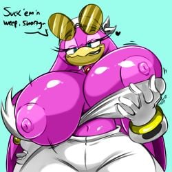wave the swallow from sonic (series) by colorshun