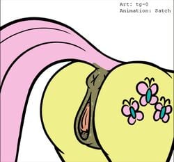 1girls animated anus avian bird female fluttershy_(mlp) friendship_is_magic my_little_pony pussy rear_view satch straight_hair tg-0