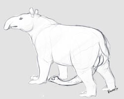 2014 3_toes anatomically_correct animal_genitalia balls chubby erection feral grey_background long_penis looking_at_viewer male male_only mammal naoma-hiru penis plain_background sketch solo standing tapir trunk