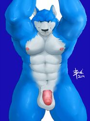 1boy abs anthro balls biceps big_muscles bin blue_fur canine flaccid fur furry humanoid_penis looking_at_viewer male male_only mammal muscles nude pecs penis solo standing wolf