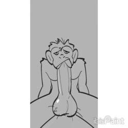 1:1 animated anthro autofellatio balls big_balls big_penis bodily_fluids calurk cum cum_in_mouth cum_inside digital_media_(artwork) ejaculation erection fellatio fur genital_fluids genitals hair hands-free haplorhine humanoid male mammal masturbation milking_self monkey nude oral oral_masturbation oral_orgasm orgasm penile penile_masturbation penis penis_milking primate sex short_playtime simple_background solo solo_focus
