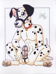 1boy 2004 anthro balls bondage bound canine collar dalmatian male male_only mammal michele_light muzzle_(object) muzzled nude penis sitting solo spots