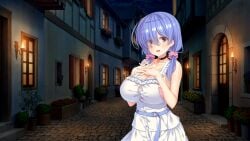 1girls blue_hair blue_hair_female breasts chatting choker clarissa_orbas cleavage clothed_female collar conversation enormous_breasts enormous_tits female female_only game_cg happy happy_eyes happy_face hinata_nao hirose_madoka huge_breasts huge_tits large_breasts large_tits long_blue_hair long_hair long_hair_female massive_breasts massive_tits moonstone_cherry night night_background night_sky open_eyes open_mouth open_mouth_smile sex_underworld_e_youkoso! smile smile_face smiley_face smiling smiling_face talking tits twintails twintails_(hairstyle)