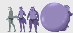 belly_bulge belly_expansion belly_inflation big_belly blueberry_inflation furry guy inflation legoshi_(beastars) only_male wolf