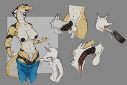 andromorph animal_genitalia anthro artist_request balls bodily_fluids breasts canid canine character_request clothing cum cum_in_mouth cum_inside deep_throat drooling duo fellatio genital_fluids genitals gynomorph herm hi_res intersex intersex/male litehase male mammal oral oral_penetration penetration penile penis reptile saliva scalie sex sheath shocked simple_background snake snake_hood striped_body stripes tongue tongue_out undressing