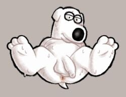 abstract_background anthro anus black_nose bodily_fluids brian_griffin canid canine family_guy feet flaccid foot_focus foreskin genitals grey_background hhbrother humanoid_feet humanoid_genitalia humanoid_penis long_foreskin looking_at_viewer male mammal penis plantigrade simple_background sitting slightly_chubby slightly_chubby_male smile solo sweat sweaty_feet unretracted_foreskin