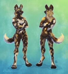 absurd_res african_wild_dog anthro canid canine feral hi_res lupifluvii male mammal nsfw_def nude_male solo