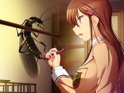 censored cyclet female insects kisaragi_kagome konchuu_kansatsu school_uniform tagme zoophilia