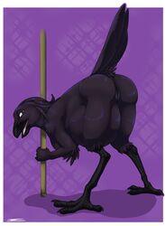 2014 anthro anus ass ass_up avian barefoot beak bent_over bird claws feathers female grasp happy iko looking_at_viewer looking_back lucidum nude open_mouth pole pussy raven_(bird) smile solo toe_claws