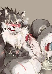 anthro cum furry male_only rouen sega shining_(series) shining_tear shining_tear_x_wind shining_wind yaoi