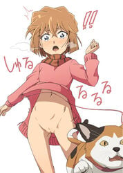 1girls ai_haibara blue_eyes blush bottomless breasts brown_hair detective_conan eringiumemaru feline female human navel no_panties open_mouth pale-skinned_female pale_skin pink_sweater pussy scarf short_hair solo surprised sweater text thighs translation_request uncensored unraveling white_background wide_hips