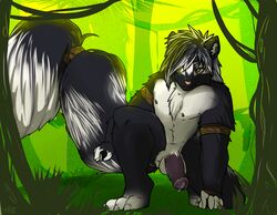 1boy anthro balls bally-vhern bamboo brown_eyes chest_tuft claws crouching forest fur geeflakes green_background kneeling male male_only mammal nipples nude penis plain_background precum skunk skunktail solo tree tuft