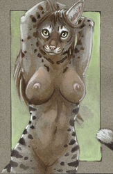 anthro breasts cadmiumtea feline female fur furry looking_at_viewer mammal nude pussy solo