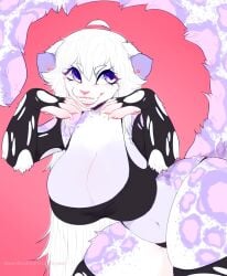 ahoge animal_ears animal_tail anthro anthro_female anthro_focus anthro_only armwear bangs belly_button big_breasts bottomwear bra breasts canines clawed_fingers clawed_hands claws claws_out cleavage elbow_gloves female female_anthro female_focus female_only fingerless_gloves furry furry_female furry_only gloves ichiigoneko kohana large_breasts large_thighs lavender_fur legwear light_purple_fur long_hair navel nyawe panties pose posing purple_eyes purple_fur ripped_clothes ripped_clothing ripped_legwear ripped_stockings ripped_thighhighs rosettes simple_background skimpy_panties smile smiling snow_leopard snow_leopard_ears snow_leopard_girl snow_leopard_spots snow_leopard_tail solo solo_anthro solo_female solo_focus stockings tagme tail thick_thighs thighs topwear torn_armwear torn_clothes torn_clothing torn_legwear torn_stockings torn_thighhighs two-tone_fur white_fur white_hair