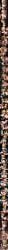1boy 1girl abs ahegao ai_generated anal anal_insertion anal_penetration anal_sex ass big_ass big_breasts black_hair blonde_hair blowjob blush breasts carry_position caulifla completely_nude creampie cum cum_inside cum_on_body cum_on_breasts cum_on_face cum_on_hair cum_overflow deepthroat detailed_background doggystyle dragon_ball dragon_ball_super dragon_ball_z ejaculating_while_penetrated ejaculation ejaculation_between_breasts ejaculation_in_mouth ejaculation_in_pussy facial female_saiyan frills full_nelson garter_belt gloves goku handjob heart-shaped_pupils highres indoors large_penis lifted_sex looking_at_viewer maid maid_apron maid_headdress muscular muscular_female muscular_male night nipples nude nude_female nude_male open_mouth orgasm orgasm_face orgasm_from_vaginal paizuri penetration penis precum pussy pussy_juice rolling_eyes saiyan saiyan_female saliva sex spiky_hair spread_ass spread_legs spread_pussy standing_sex stockings super_saiyan suspended_congress sweat sweatdrop thighhighs tongue_out torn_clothes vaginal vaginal_fluids vaginal_masturbation vaginal_penetration wet_body wet_skin wrist_cuffs