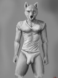 anthro black_and_white bulge canine clothing husky male male_only mammal monochrome motaro_(artist) shirt underwear white_underwear