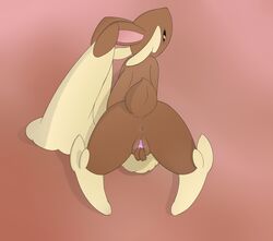 anus back female fur furry furry_only looking_back lopunny nintendo pokémon_(species) pokemon pokemon_(species) pussy simple solo tail video_games yumei