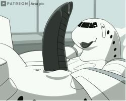 aircraft airplane arsa_pic erection focus_on_penis ivxair3p living_aircraft living_machine looking_at_viewer looking_pleasured male male_only non-human non-human_only penis plane precum tagme teasing teasing_viewer unusual_penis video