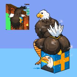 1boy artist_upload ass ass_cleavage ass_crack ass_focus avian avian_feet avian_humanoid balls balls_bulge balls_outline balls_under_clothes ballsack bara bara_ass beak bird bird_legs bird_tail bird_wings blue_background box brown_body brown_fur brown_skin eagle game_screenshot gay gay_male male male_only musk musk_clouds musky musky_balls musky_butt pewdiepie's_tuber_simulator reference_image ritcherr sea_eagle self_upload simple_background simple_drawing simple_shading sitting sitting_down sitting_on_box sitting_on_object solo solo_focus sponsor sponsor_eagle sponsor_eagle_(pewdiepie's_tuber_simulator) sponsor_eagle_(pts) sweat sweatdrop sweating sweaty sweaty_ass sweaty_balls sweaty_body sweaty_butt thong thong_only thong_underwear white_fur white_hair white_tail yaoi yellow_beak yellow_clothing yellow_thong