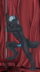 animal_genitalia anthro black_fur blue_eyes blue_hair canine canine_penis chasington erection fur hair looking_away male male_only mammal muscles penis red_curtains skinny solo strip_club stripper thong wolf